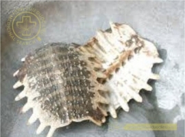 Miết giáp