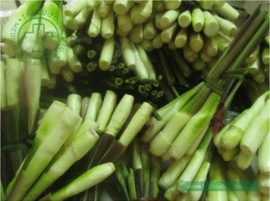 Niễng