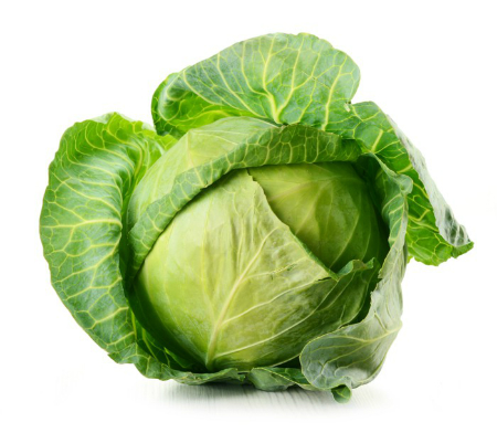 Cải bắp 1 Cải bắp 1