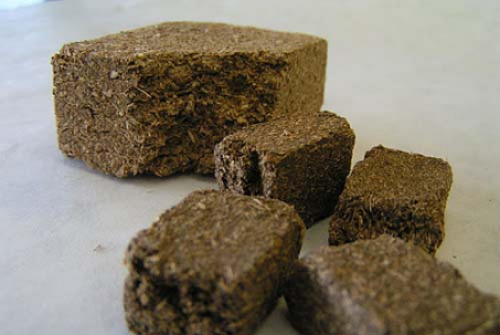 Thần khúc 1 Thần khúc 1